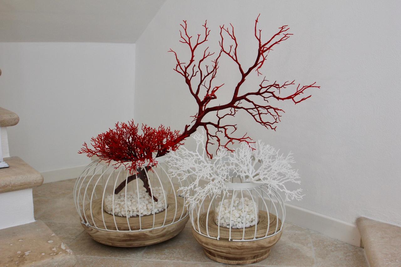 Townhouse Tropea Bed & Breakfast エクステリア 写真